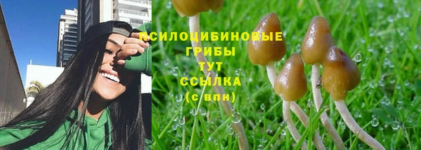 бошки Балахна